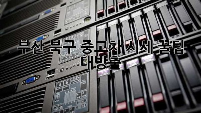 부산 북구 중고차 시세, 꿀팁 대방출! 🚗💨