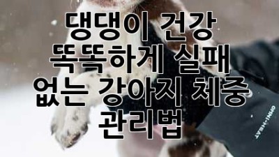 댕댕이 건강, 똑똑하게! 실패 없는 강아지 체중 관리법