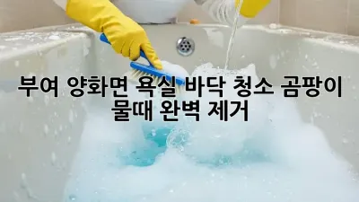 부여 양화면 욕실 바닥 청소: 곰팡이, 물때 완벽 제거!